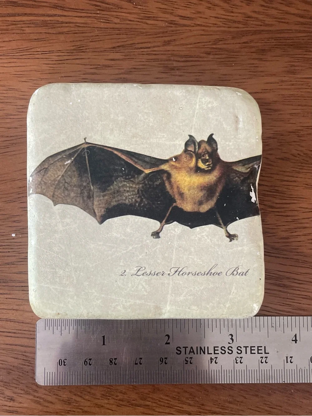 Set of 4 Cream Bat Illustration Coasters – Decorative Stone Drink Coasters
